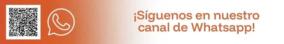 2025-peisa-banners-PI-08