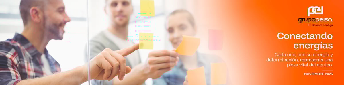 2025-peisa-banners-noviembre_Peisa Informa